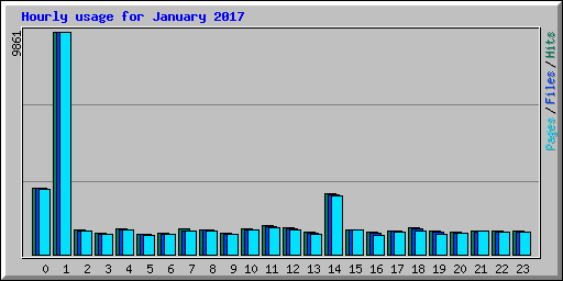 Hourly usage for January 2017